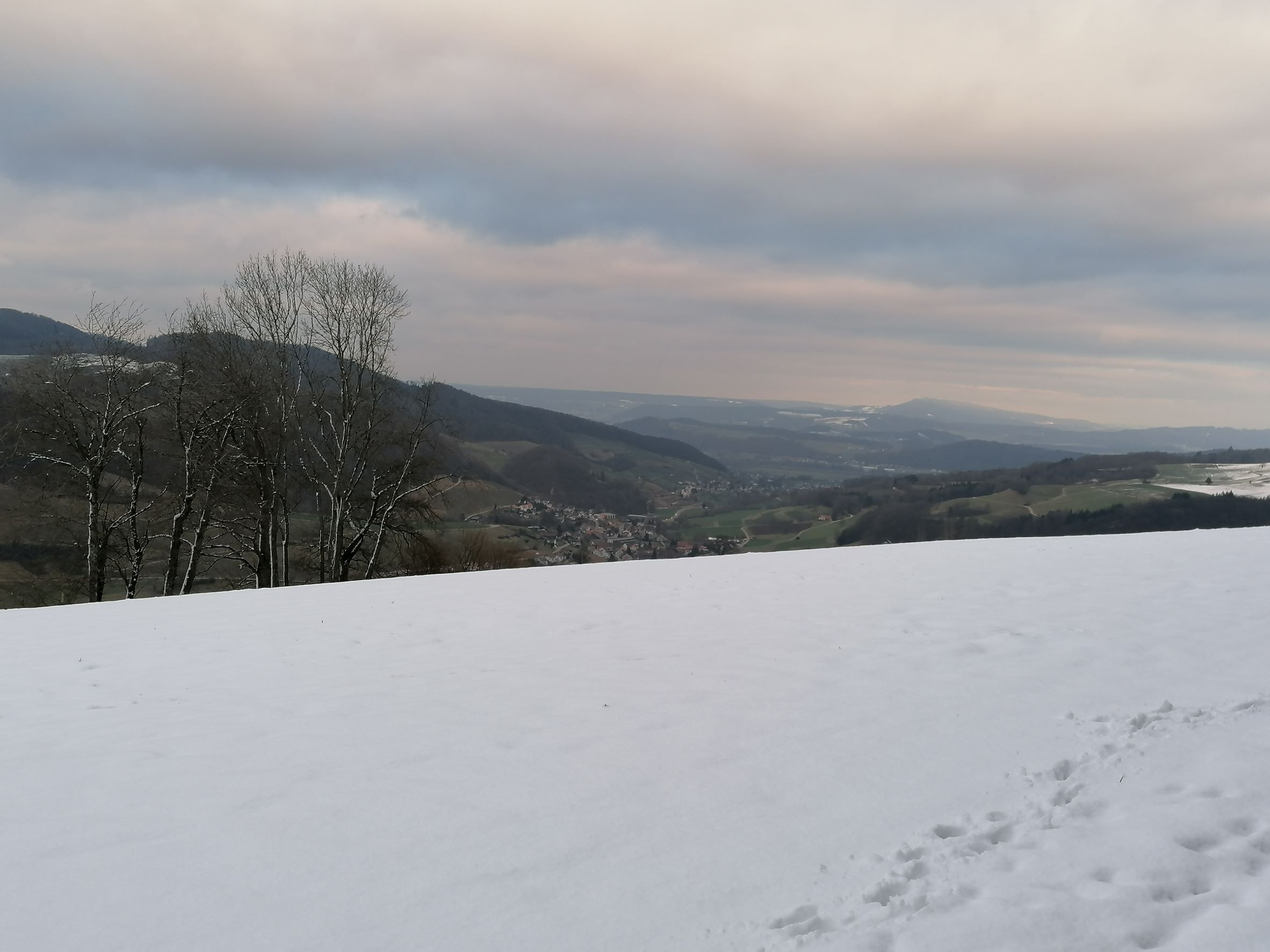 Im Schnee auf der Staffelegg