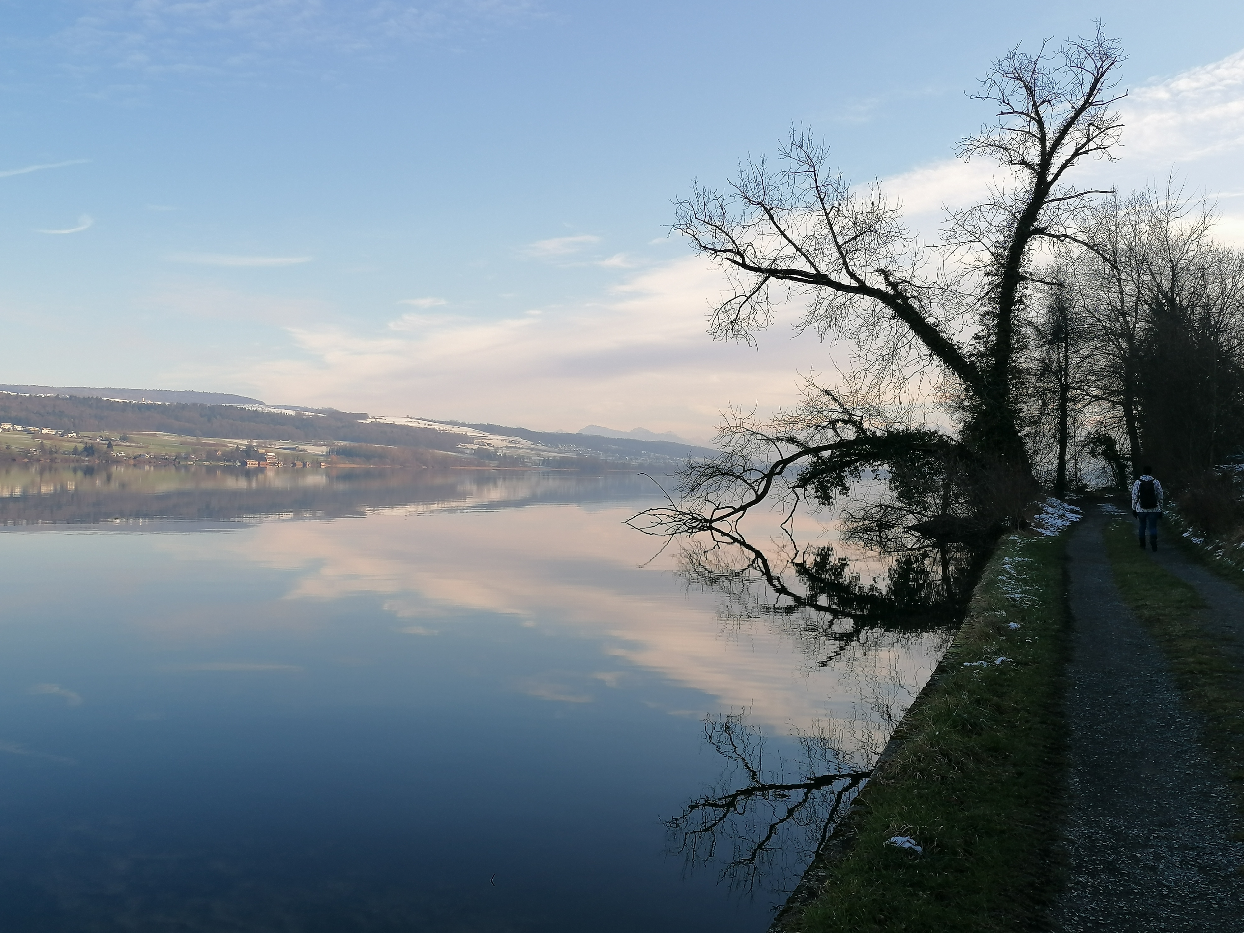 Winterlicher Hallwilersee bei Boniswil
