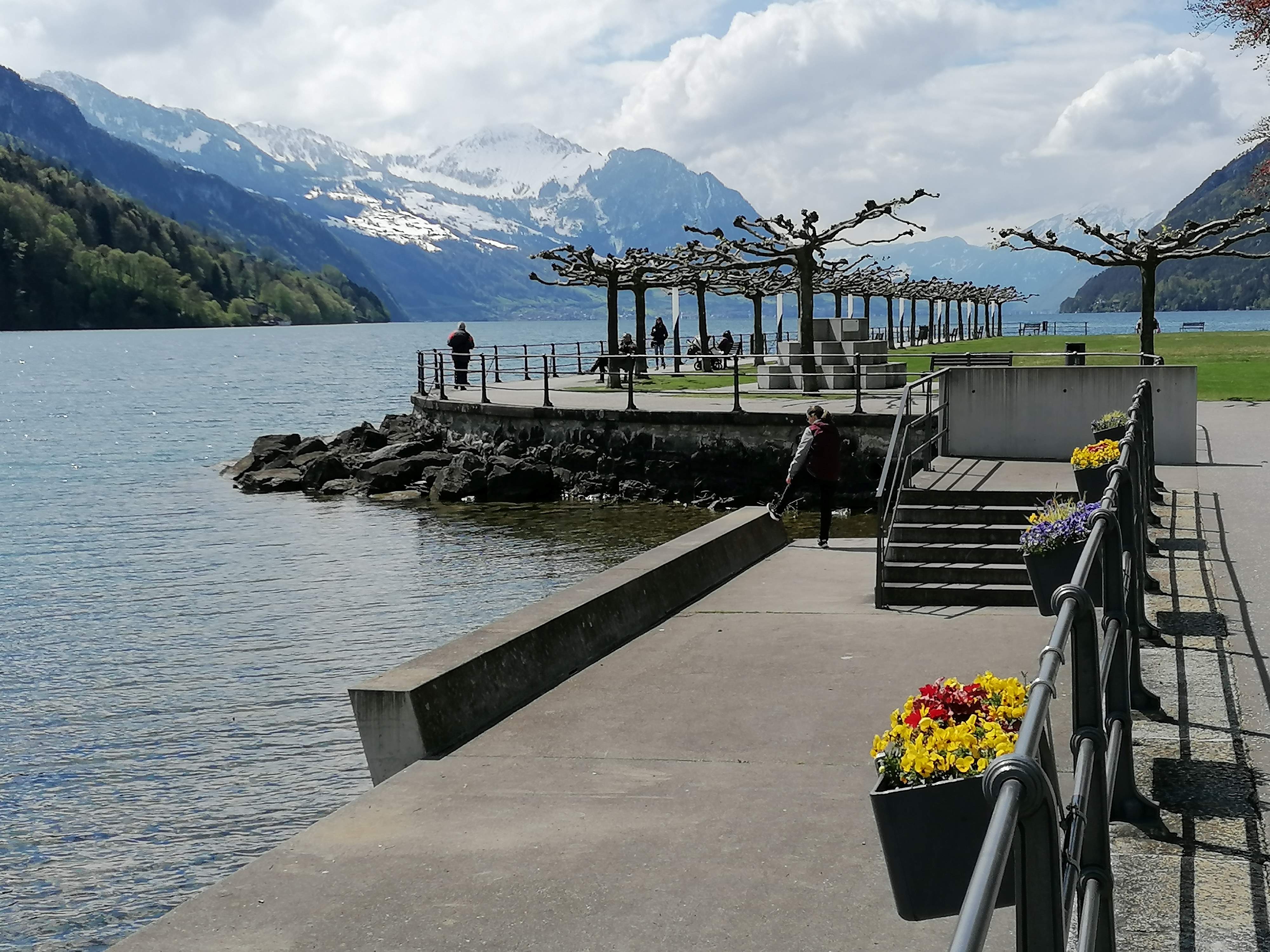 Am See bei Brunnen